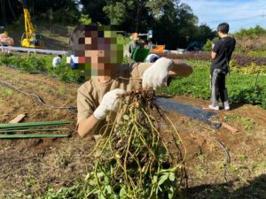 陽の光る中農業体験写真